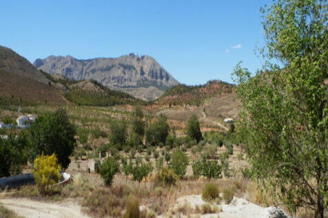 Property Image 17