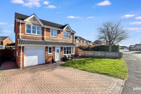 Property Image 37