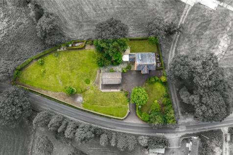 Aerial Shot