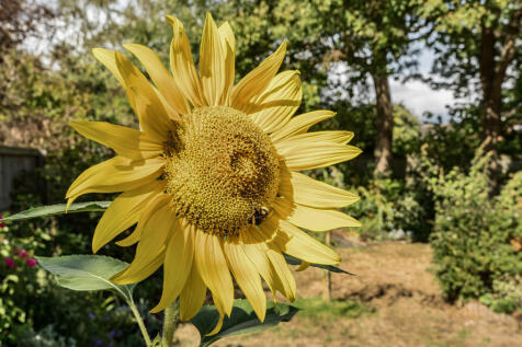 13439042168b20832c2512