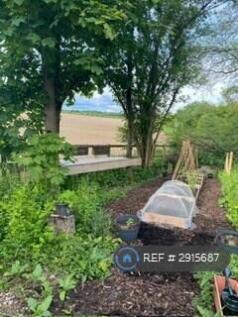 Vegetable Allotment