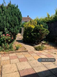 Back Garden