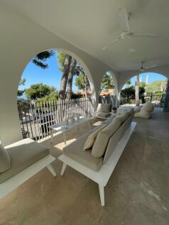 WhatsApp Image 2024-