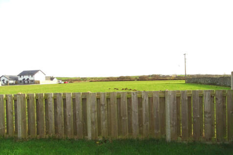 DSC05190.JPG