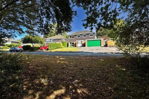 thumbnail_image2 (2)a.jpg