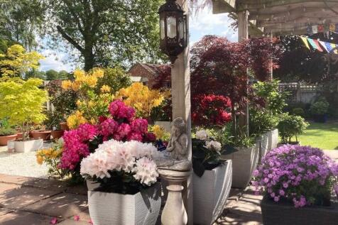 Sellers Garden