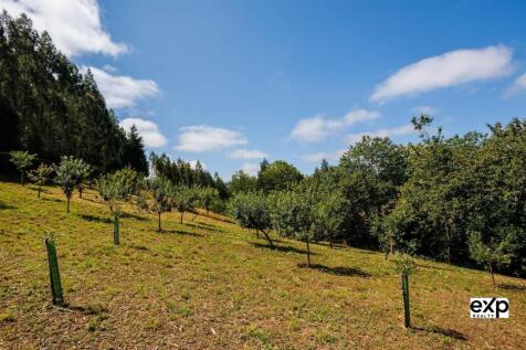 Property Image 75