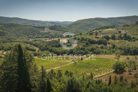 Panorama e Particolari