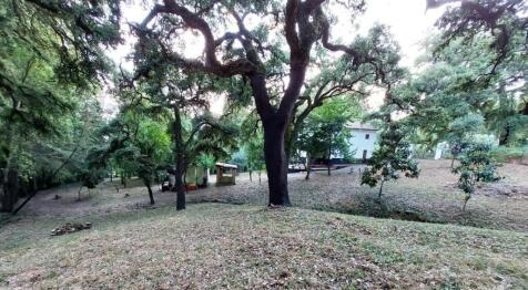 Property Image 68