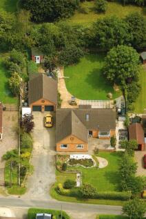 Vendor-Supplied Photograph