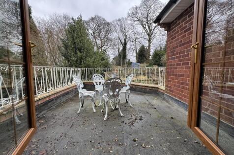 IMG_5298 (Large).JPG