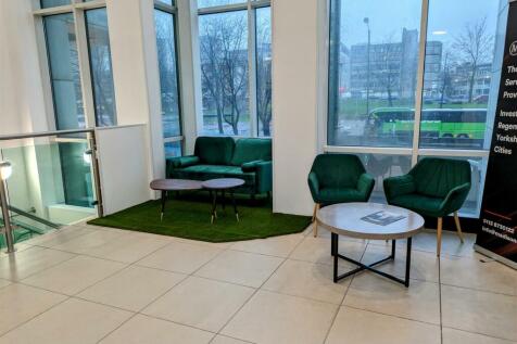 PXL_20240129_160509325~2 (1).jpg