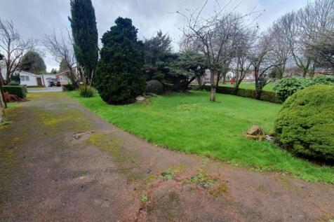 PHOTO TAKEN ON 1ST MARCH 2024 WHEN GARDENS...