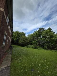 Back Garden