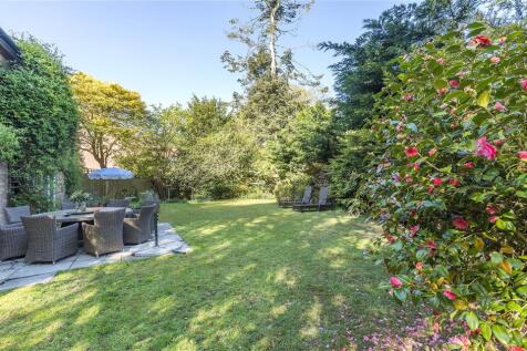 Back Garden