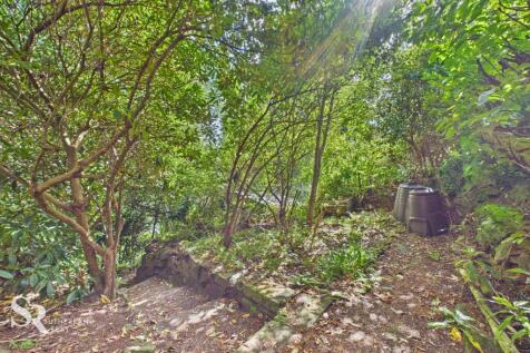 Property Image 44