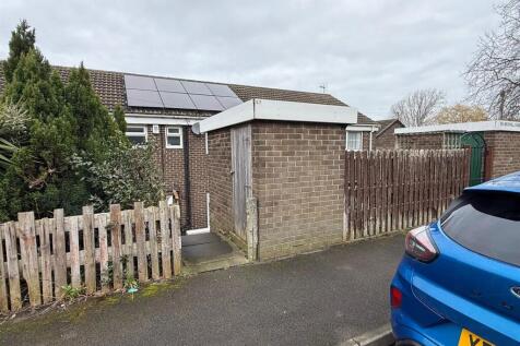 The Rear Boundary