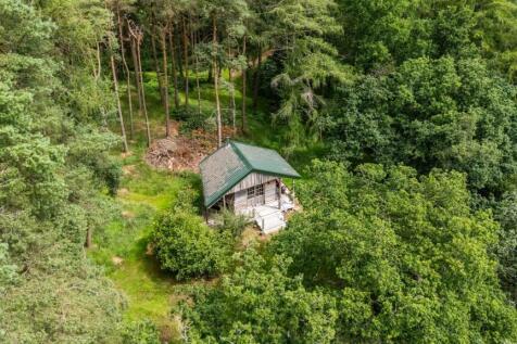 Cabin in the Woods