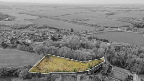 IMG 9500 T202507031637.jpeg