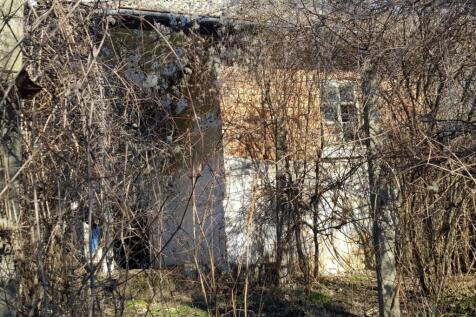 Facade of an old house covered with dry vines and branches in winter