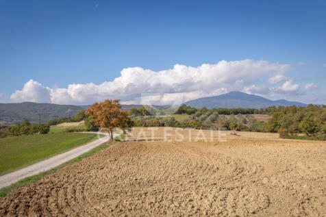 Panorama e Particolari