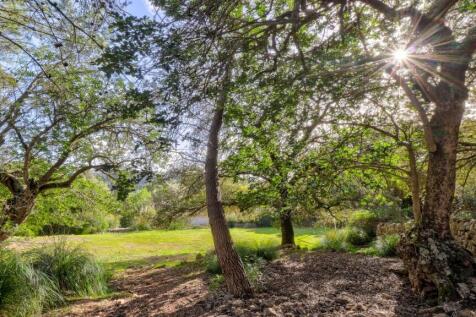 Woods 1 - 2 NEW