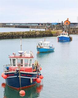 Folkestone - Boats .jpg