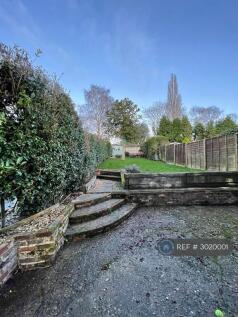 Back Garden