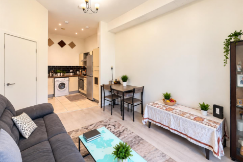 Open Plan Kitchen/ Reception Room
