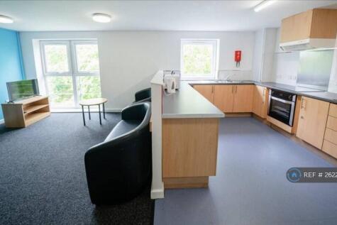 Kitchen And Shared Dining