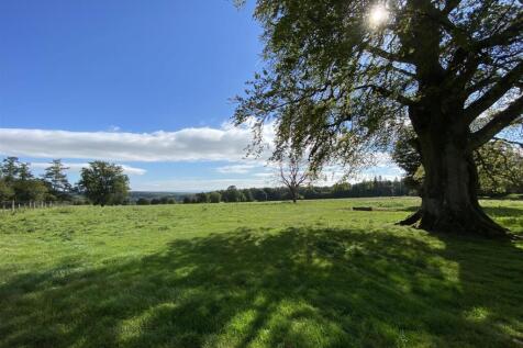 Entrance Grounds