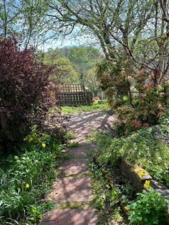 IMG-20250430-WA0014.jpg