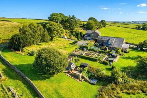 0.8 Acre Plot