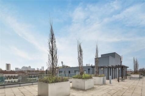 Communal Rooftop