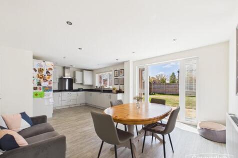 Kitchen / Living Area