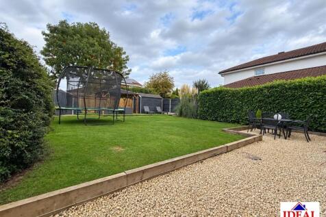 Back garden .jpg