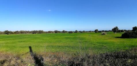 IMG_20220113_113548.jpg