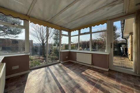 12 T202502191132.jpg