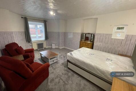 Living-Room / Bedroom
