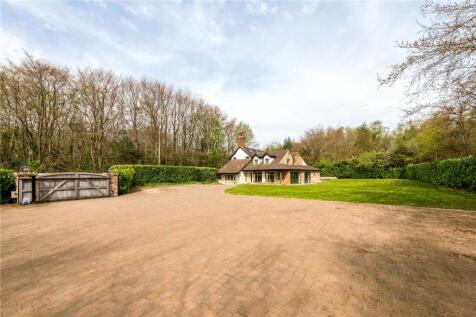 Driveway and Gardens