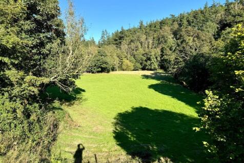 PHOTO-2024-09-17-21-37-05 (8).jpg