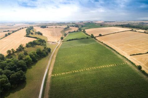 Muston Vineyard