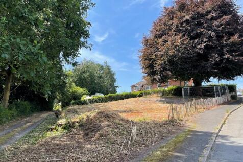 view across plot