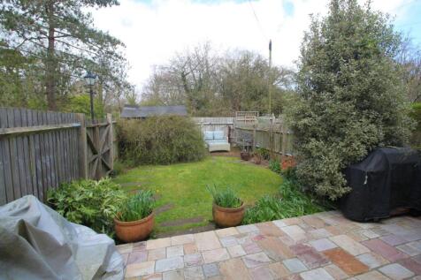 Garden.JPG
