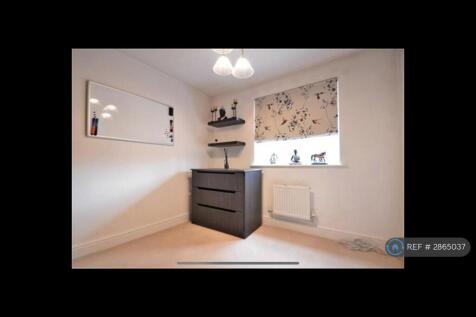 Study / Kids Room
