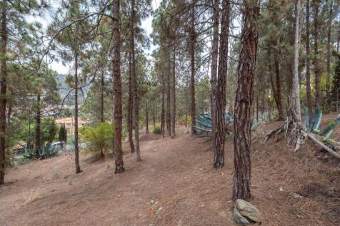 Property Image 59