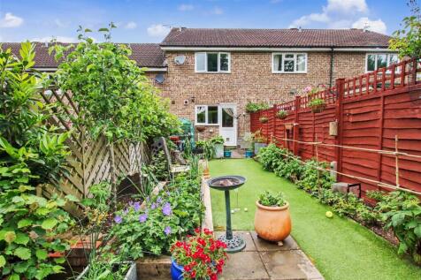 garden 2.JPG