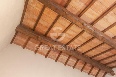 Panorama e Particolari