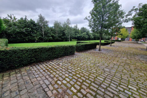 Outside Rear