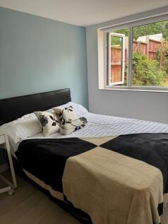 room 6 pic 3